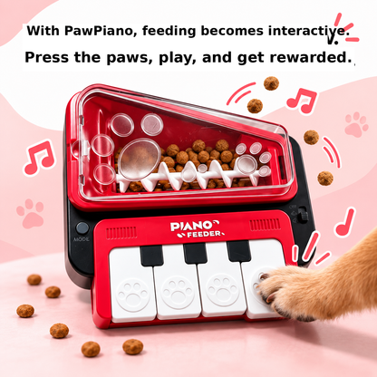 PAW PIANO